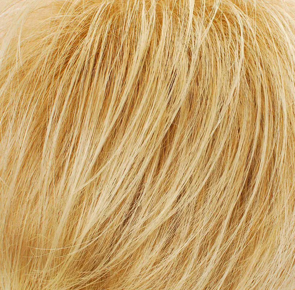 Griffin Wig by Tony of Beverly | Synthetic Wig (Lace Front Mono Top)