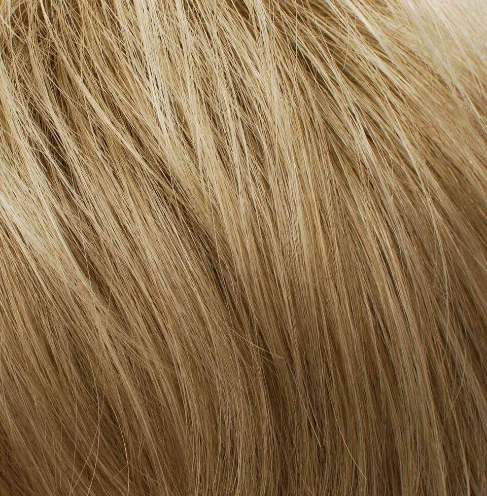 Griffin Wig by Tony of Beverly | Synthetic Wig (Lace Front Mono Top)